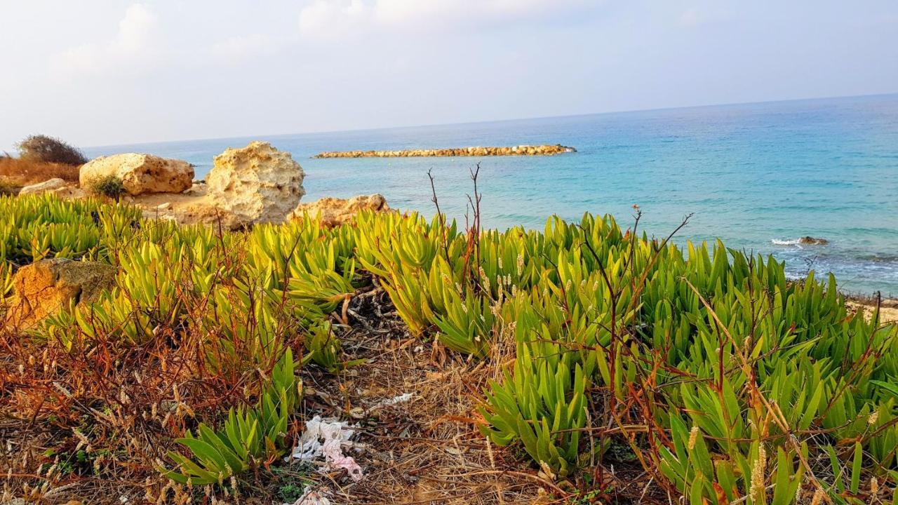 Dahan Sirena Lighthouse Luxury Apartment Paphos Exteriér fotografie